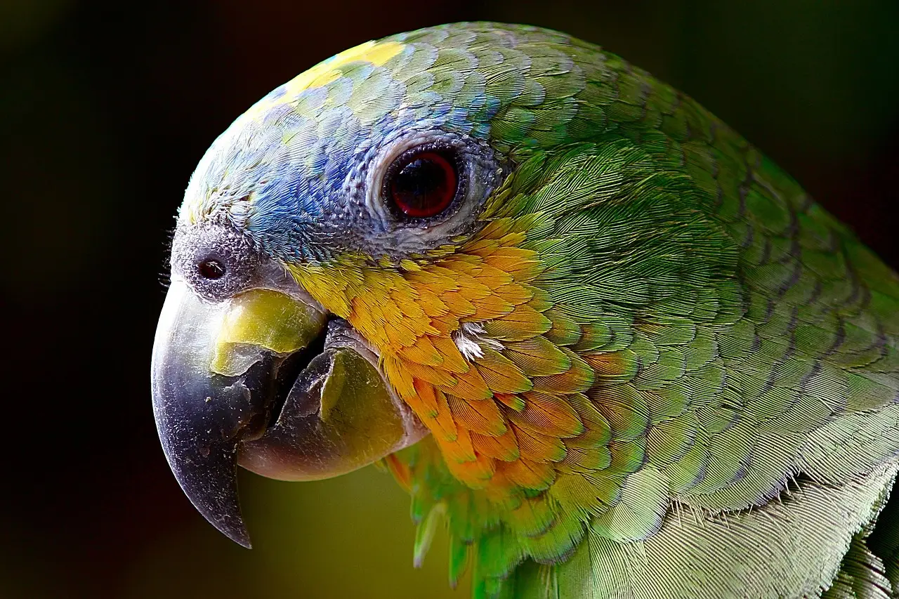 Amazon takes aim at Nvidia's AI chip dominance with new TorchNeuron software - Moneycontrol.com