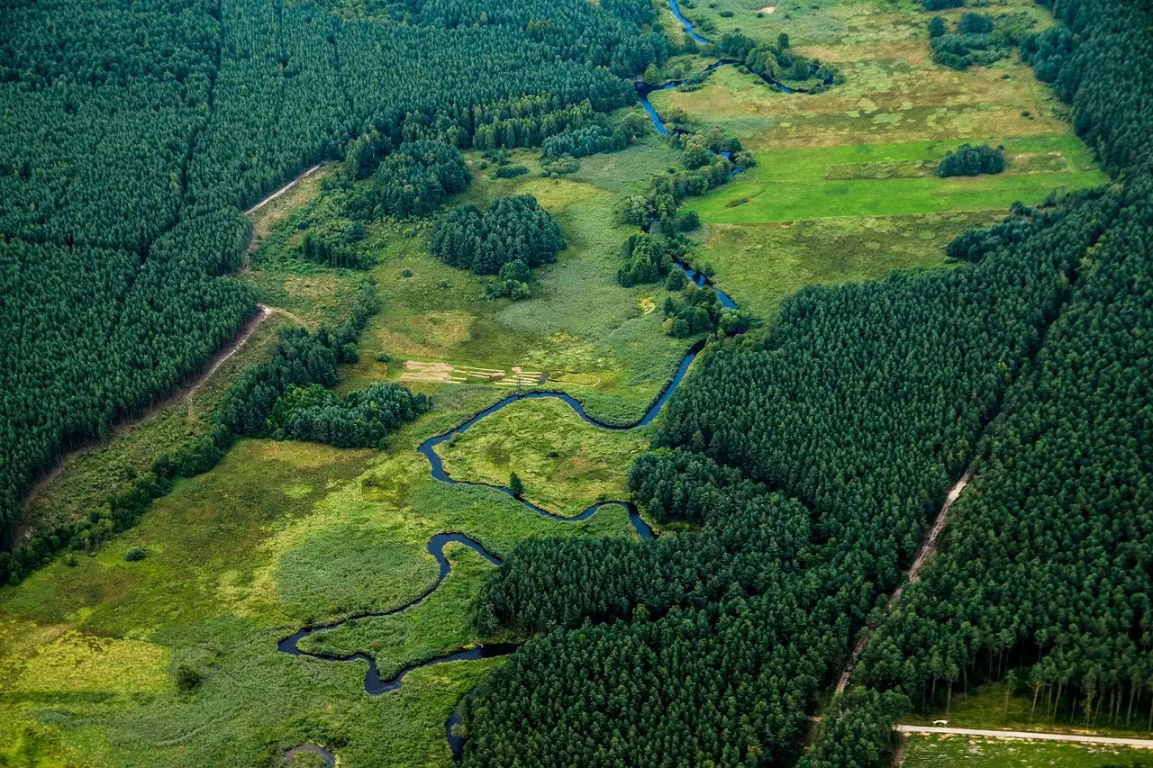 OpenAI applies for federal permit to build portion of Effingham County, Texas, data center on wetlands - report